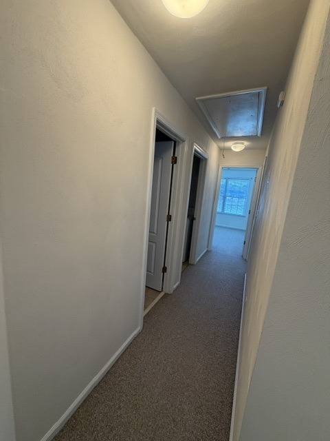 Gallery Photo 20